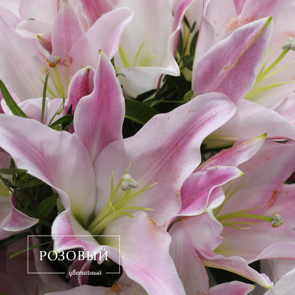 Букет из 5 лилий с зеленью