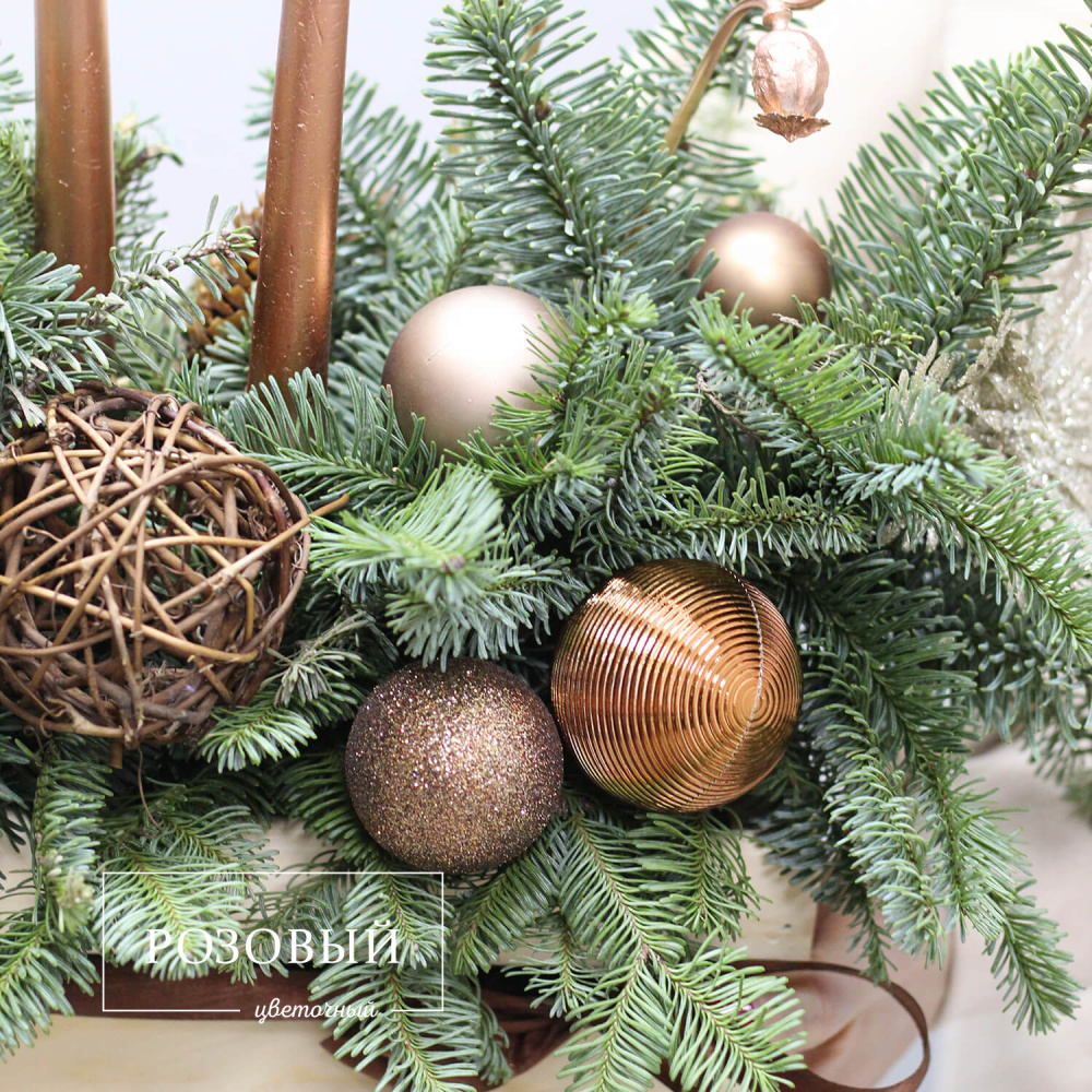 Новогодняя композиция из нобилиса №3