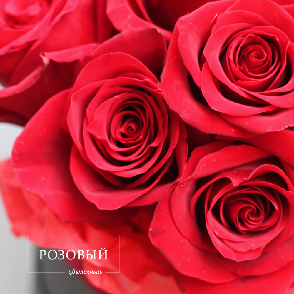 Коробка из 15 красных роз