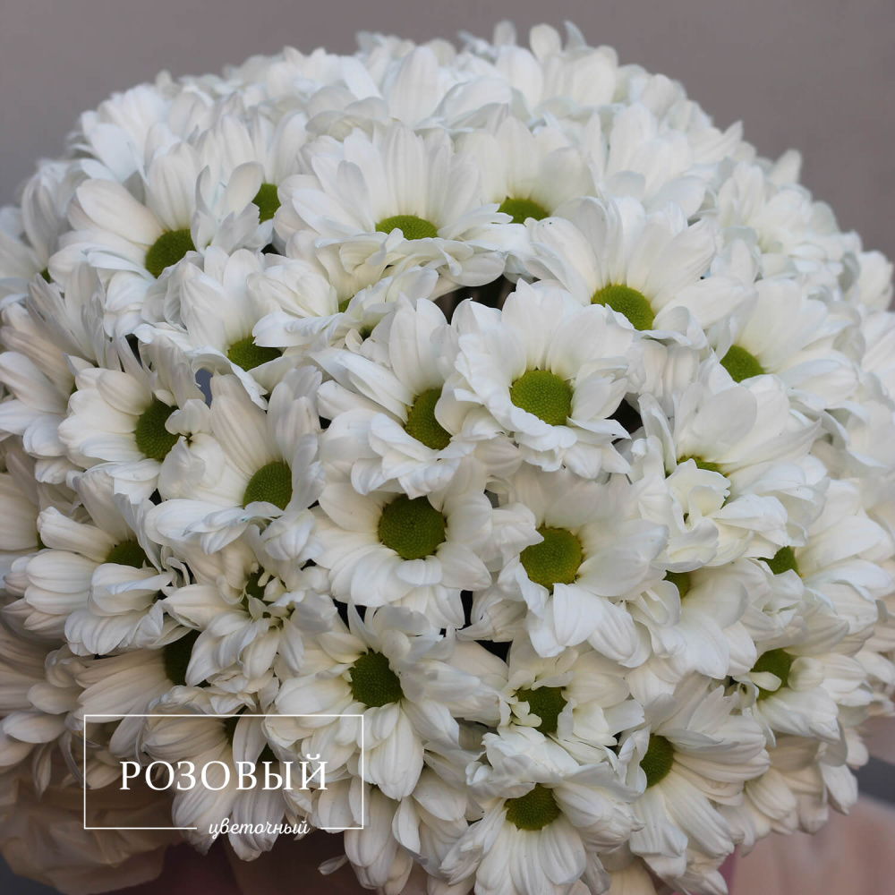 Хризантемы в коробке "Очарование"