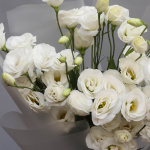 Букет из 7 эустом