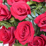 51 роза в корзине