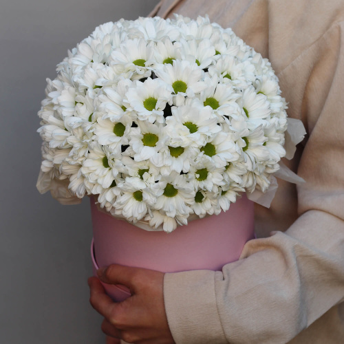 Хризантемы в коробке "Очарование"