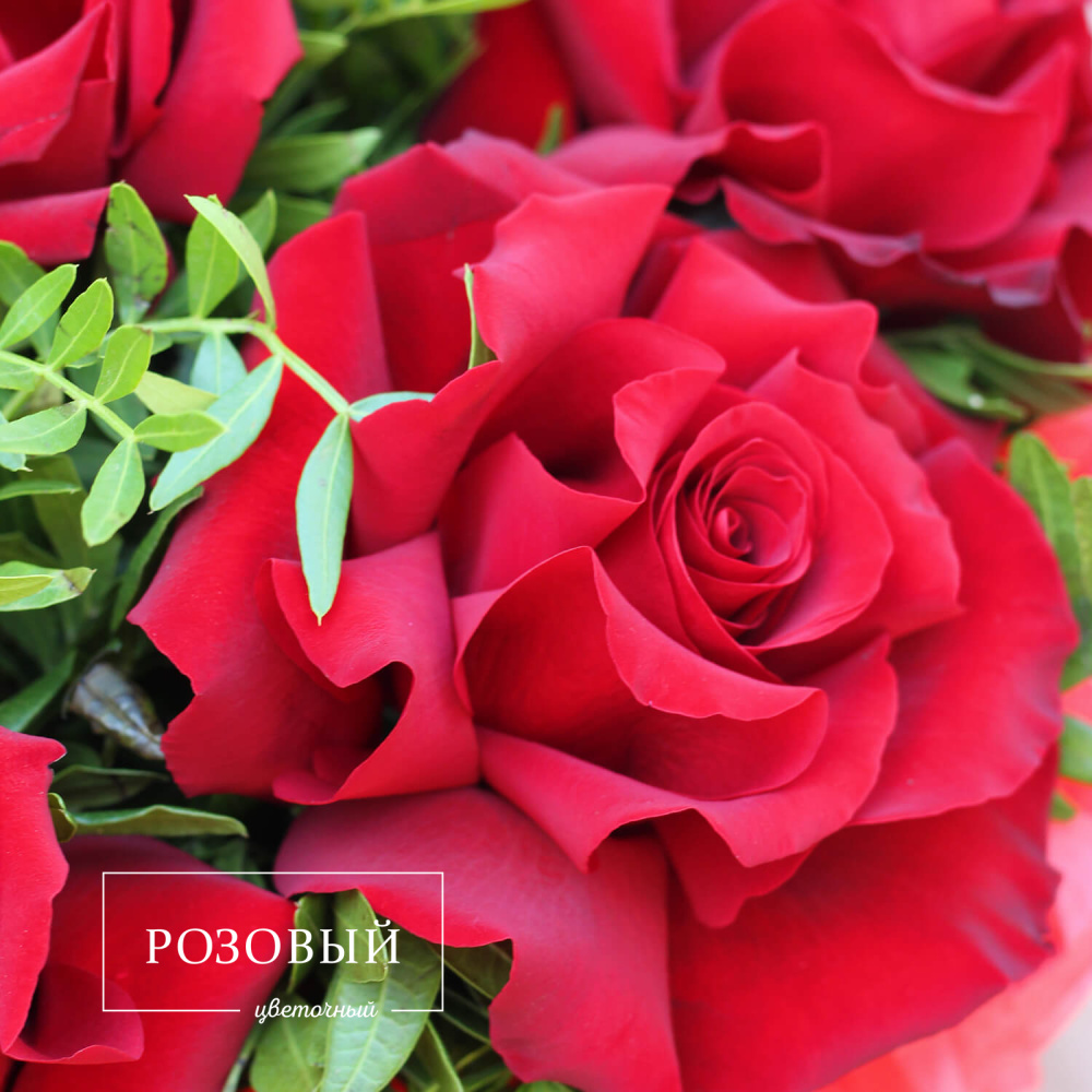 Красные розы в коробке 