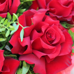 Красные розы в коробке 