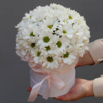 Хризантемы в коробке "Забота"