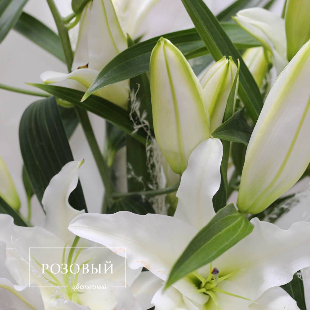 Букет из 3 белых лилий