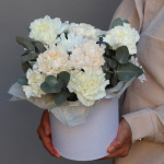 Коробка диантусов 