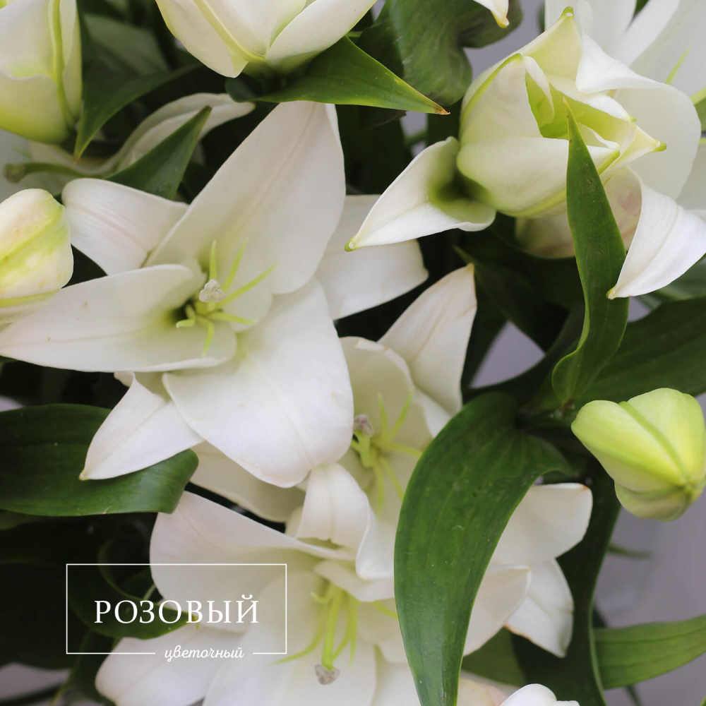 Букет из 7 лилий