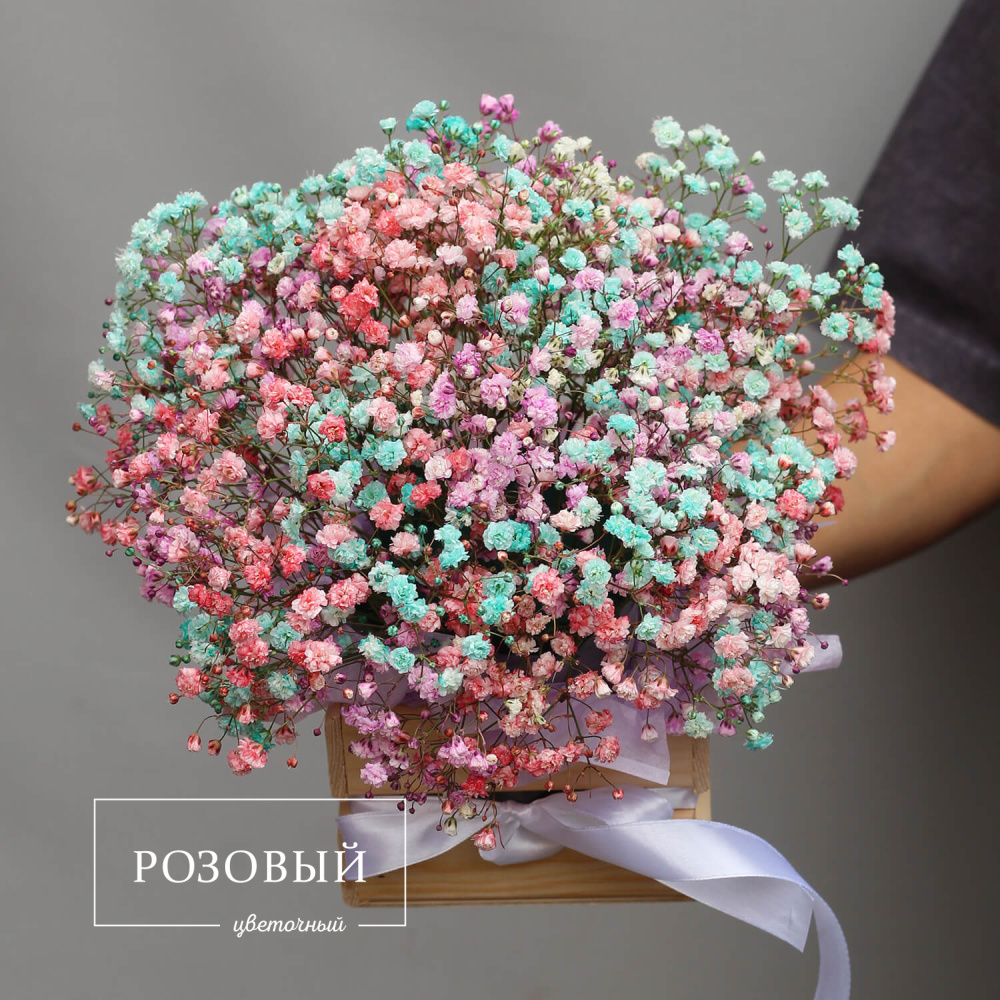 Разноцветная гипсофила в ящике