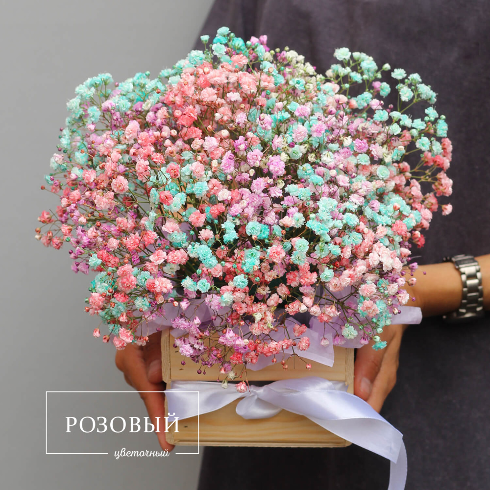 Разноцветная гипсофила в ящике