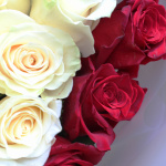 Букет роз "Люблю тебя"