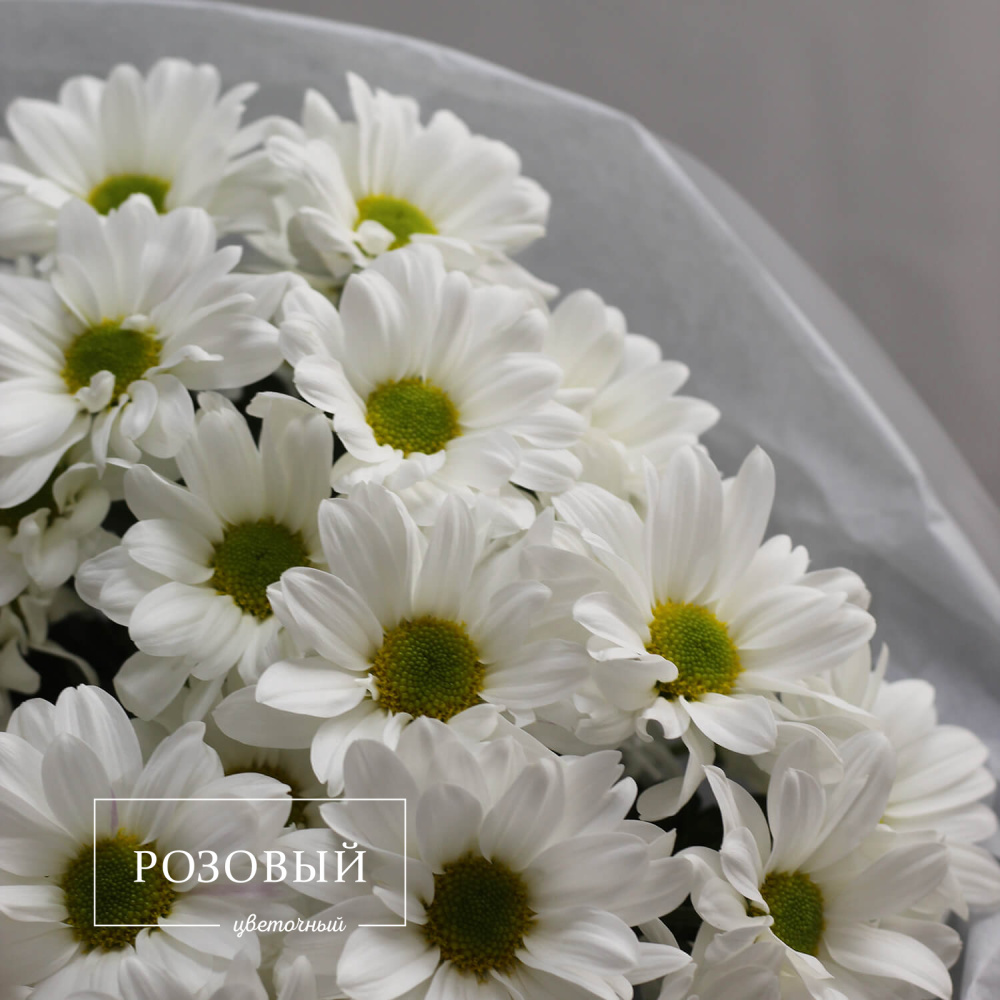Букет хризантем "Ромашковый"