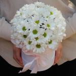 Хризантемы в коробке "Забота"