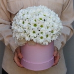 Хризантемы в коробке "Очарование"