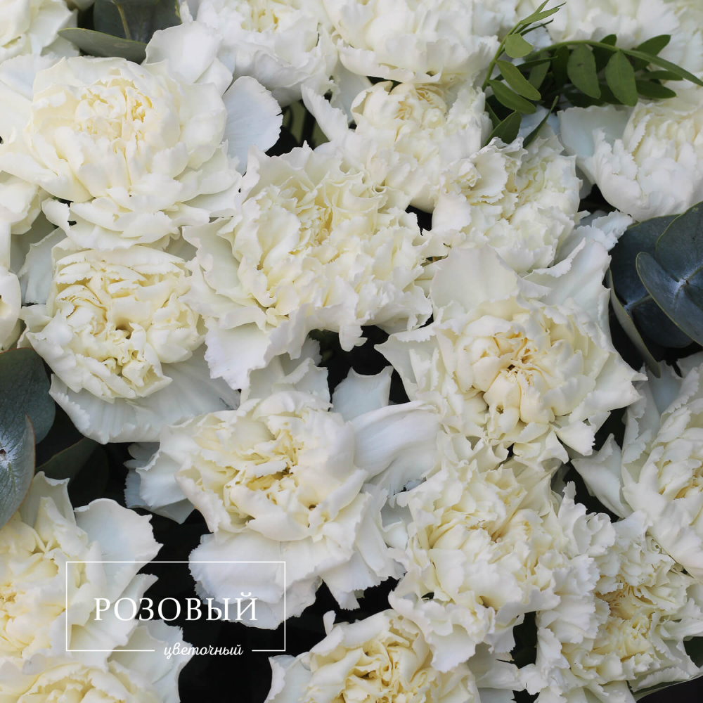 Букет из 35 гвоздик