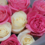 Букет из 13 разноцветных роз