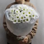 Букет хризантем "Ромашковый"