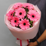 Букет из 7 гербер