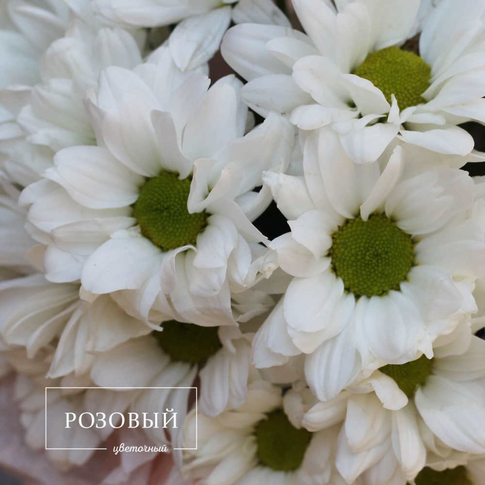 Хризантемы в коробке "Забота"