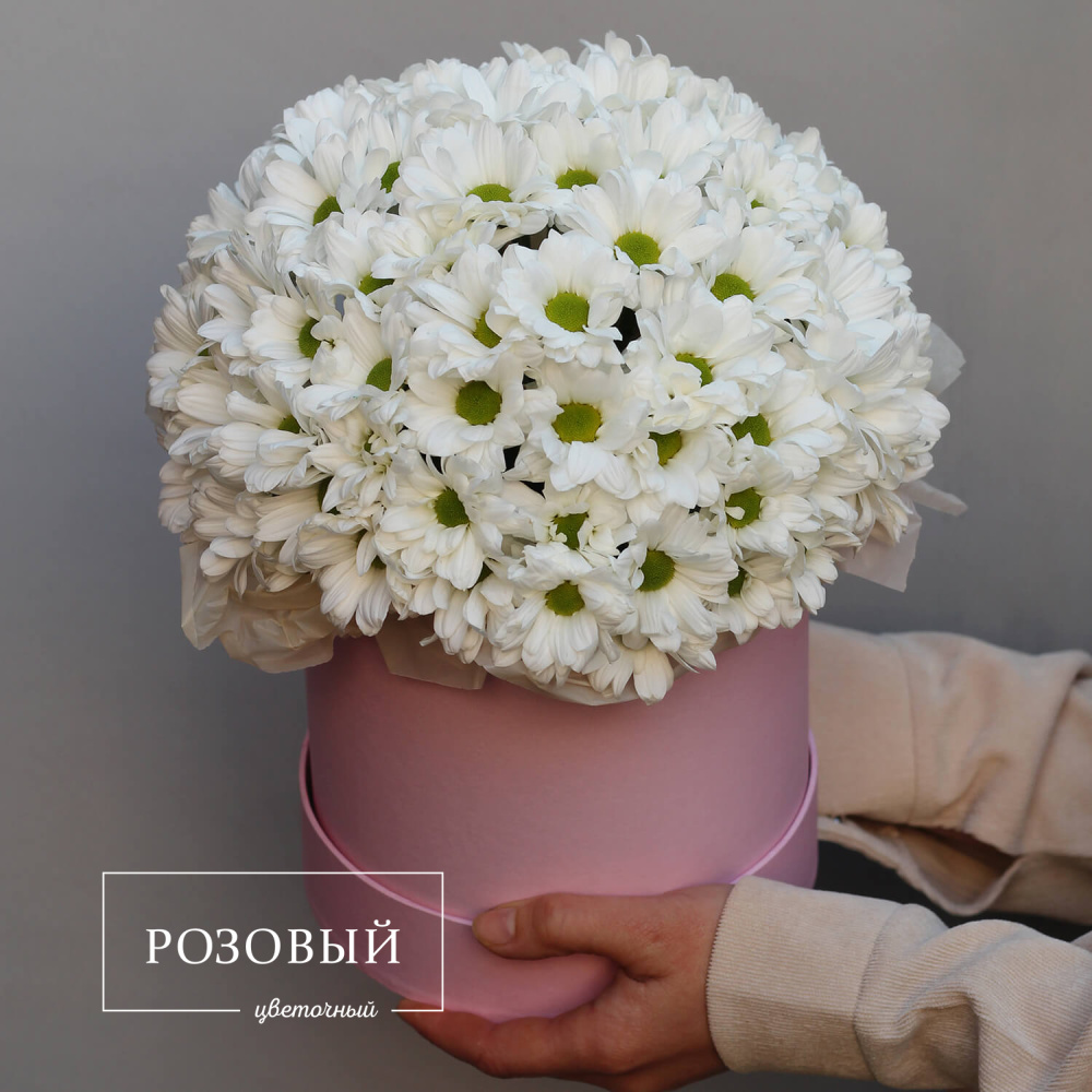 Хризантемы в коробке "Очарование"