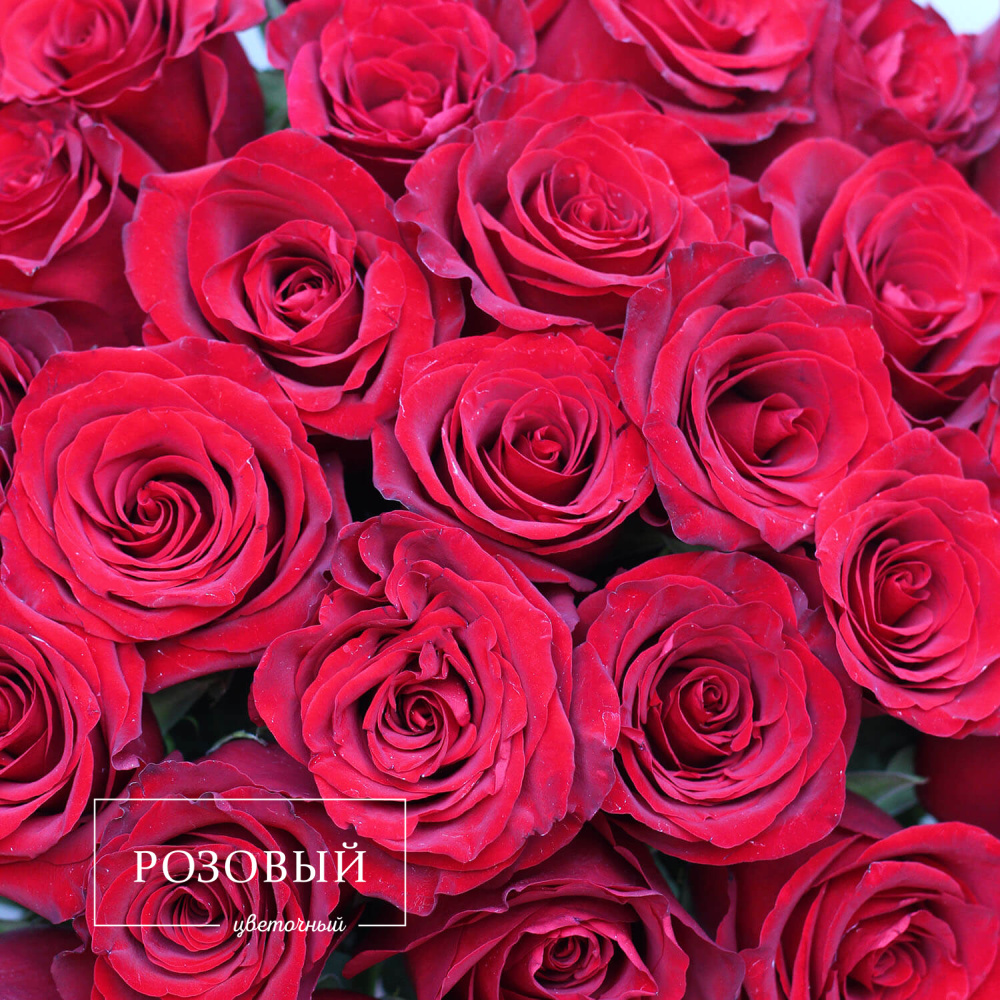 Букет из 35 красных роз