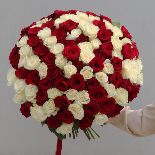 Букет из 101 красно-белой розы