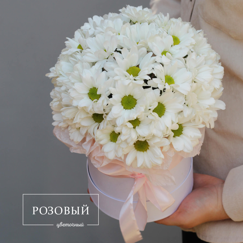 Хризантемы в коробке "Забота"