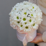 Хризантемы в коробке "Забота"