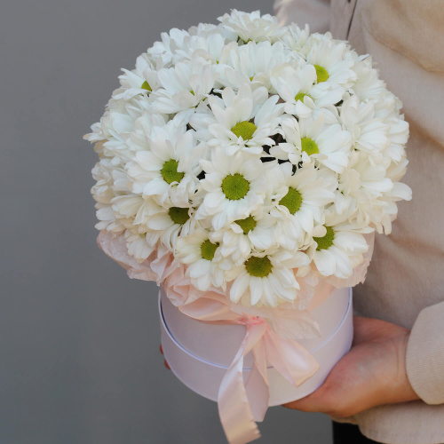 Хризантемы в коробке "Забота"