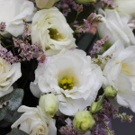 Букет эустом в коробке