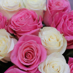 Букет из 17 разноцветных роз