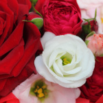 Букет цветов в коробке " С днем рождения"